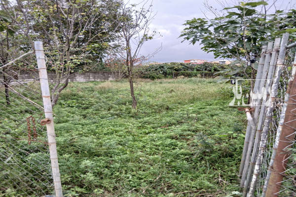 زمینی مسکونی متراژ۲۲۰ دربازارجوکندان-4