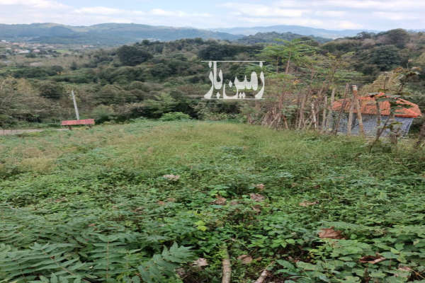 زمین ۱۳۰۰متر در روستای جیرگوابر-1