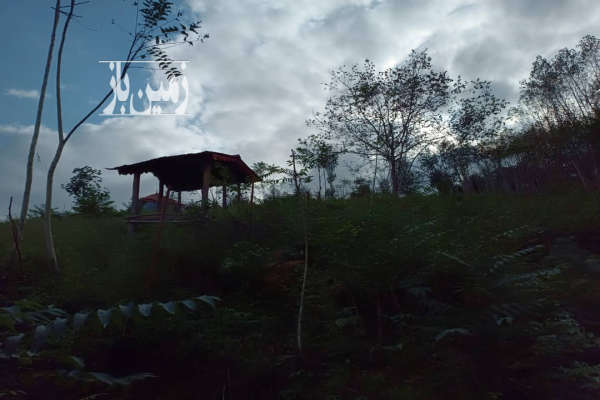 زمین ۱۳۰۰متر در روستای جیرگوابر-2