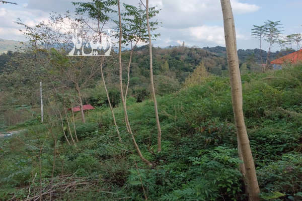 زمین ۱۳۰۰متر در روستای جیرگوابر-3
