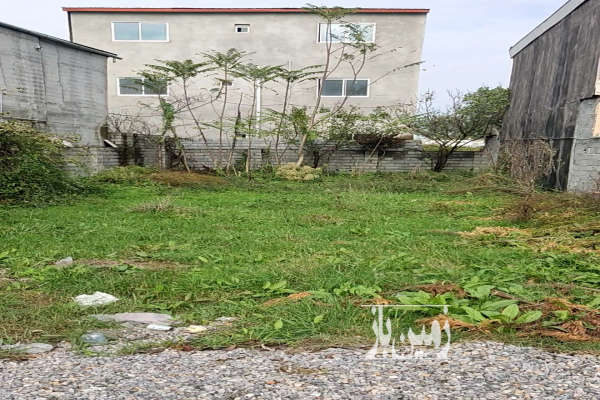 زمین ۲۵۰متر جاده هراز امل کمربندی امامزاده عبدالله-1