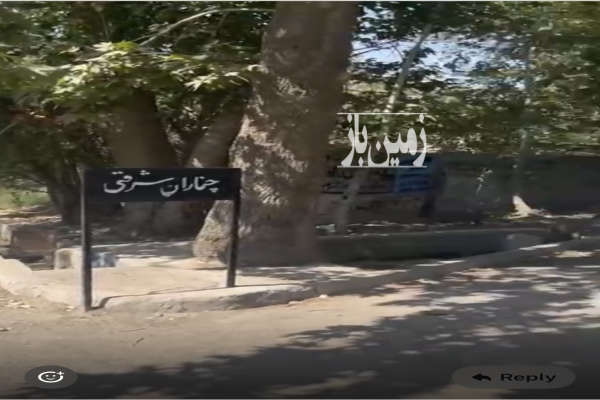 زمین به متراژ ۳۰۰ بر ۱۳ در تهراندشت-1