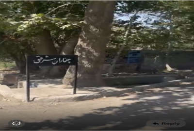 زمین به متراژ ۳۰۰ بر ۱۳ در تهراندشت