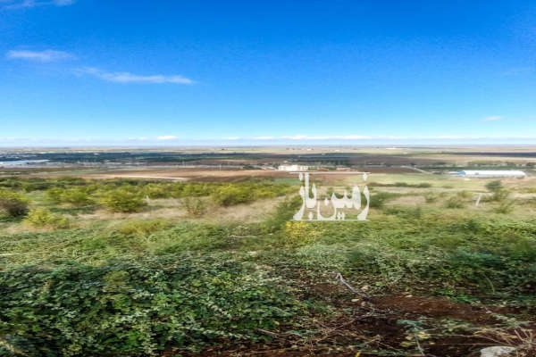 فروش ۲۰۰۰ متر باغ انار دو پلاک پشت هم-2