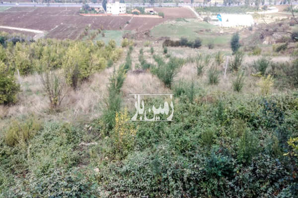 فروش ۲۰۰۰ متر باغ انار دو پلاک پشت هم-3