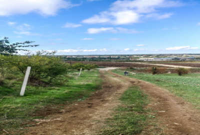 فروش ۲۰۰۰ متر باغ انار دو پلاک پشت هم