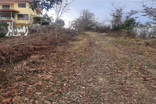 زمین در کتالم کوزه گر محله ۱۵۶۳ متر-3