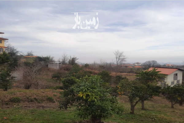 زمین در کتالم کوزه گر محله ۱۵۶۳ متر-4