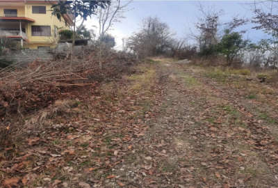 زمین در کتالم کوزه گر محله ۱۵۶۳ متر