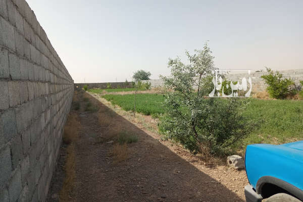 باغ ۱۰۰۰ متری با نیم ساعت آب چاه در الله آباد-1