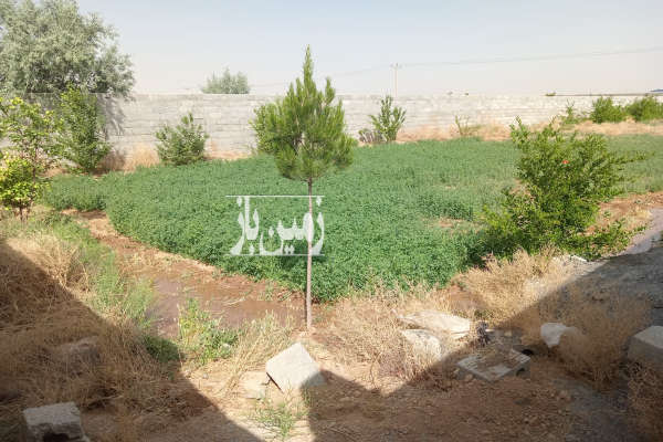 باغ ۱۰۰۰ متری با نیم ساعت آب چاه در الله آباد-2