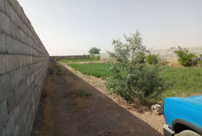 باغ ۱۰۰۰ متری با نیم ساعت آب چاه در الله آباد