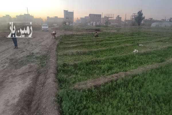 زمین ۲۰۰ متری شهرک صباح زابل آباد-1