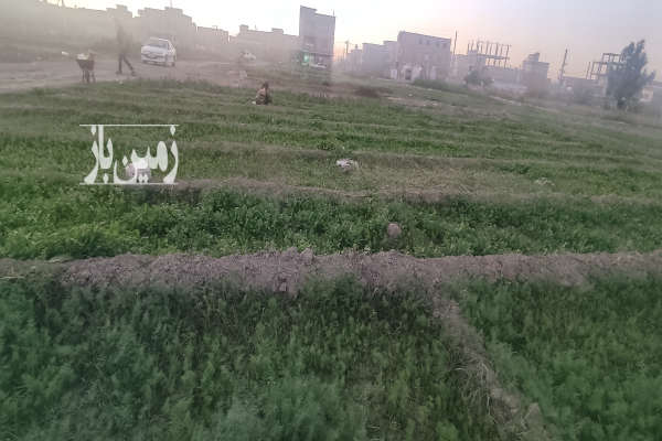 زمین ۲۰۰ متری شهرک صباح زابل آباد-3