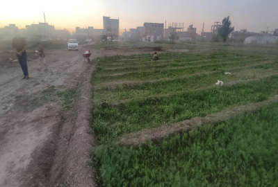 زمین ۲۰۰ متری شهرک صباح زابل آباد