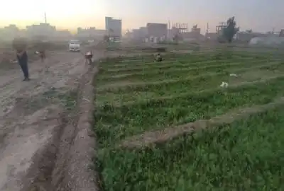 زمین ۲۰۰ متری شهرک صباح زابل آباد