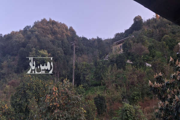 زمین ۶۵۰۰ متر رامسر مازوباغسر ویو دریا جنگل-2