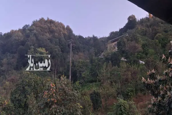زمین ۶۵۰۰ متر رامسر مازوباغسر ویو دریا جنگل - تصویر 2