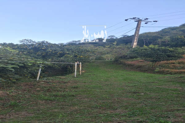 زمین ۶۵۰۰ متر رامسر مازوباغسر ویو دریا جنگل-3