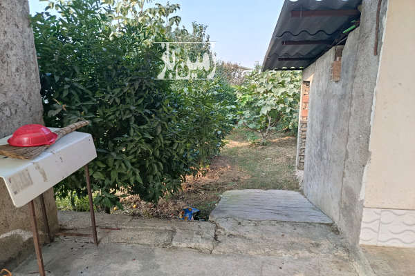 خونه باغ در شهر رستمکلا با ۲۸۰ متر زمین-4
