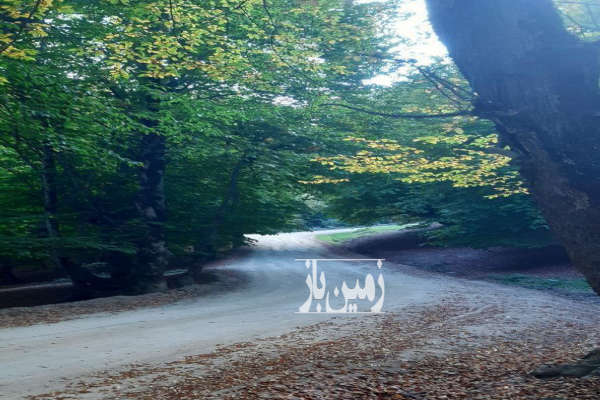 زمین ۲۵۰ متر کلاردشت جاده کلمه بعد از دوراهی کوهپر-1