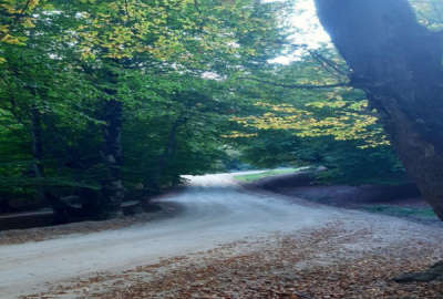 زمین ۲۵۰ متر کلاردشت جاده کلمه بعد از دوراهی کوهپر