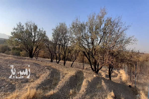 زمین کشاورزی در روستای تفریجان ۸۲۰۰ متر-2
