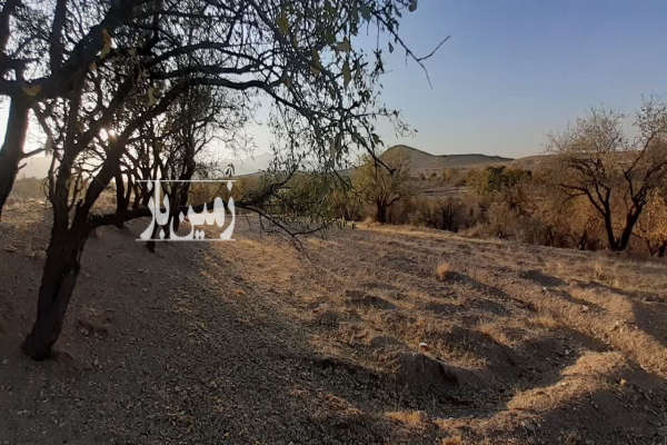 زمین کشاورزی در روستای تفریجان ۸۲۰۰ متر-3