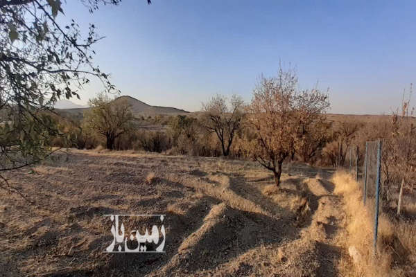زمین کشاورزی در روستای تفریجان ۸۲۰۰ متر-4