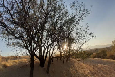 زمین کشاورزی در روستای تفریجان ۸۲۰۰ متر