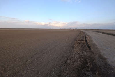 زمین در روستای چپاقلی به سمت روستای هاشملی ۲۳۰۰۰ متر