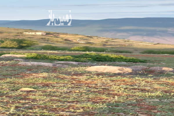 زمین چهاردیواری کلاردشت کلنو اول جاده ولشت ۱۲۰۰ متر-4