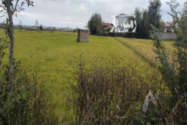 زمین کشاورزی شلمان روستای سیگارود ۱۶۴۰ متر-1