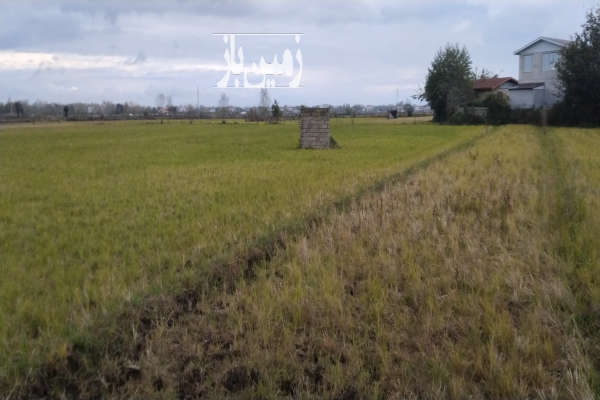 زمین کشاورزی شلمان روستای سیگارود ۱۶۴۰ متر-2