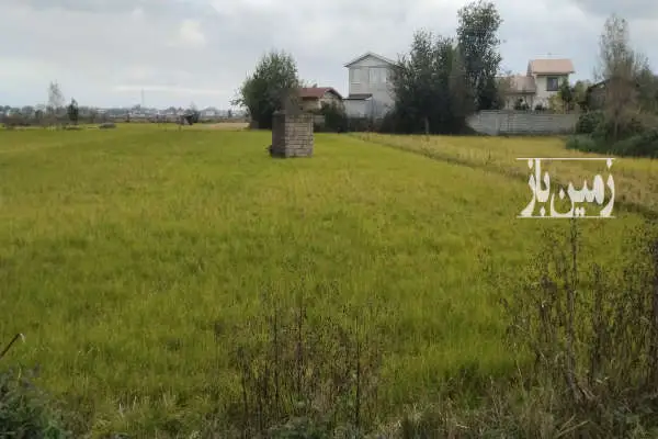 زمین کشاورزی شلمان روستای سیگارود ۱۶۴۰ متر - تصویر 3