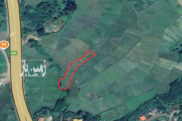 زمین ۲۹۰۰ متر کشاورزی در حوریان دینیاچال پره سر-2