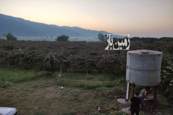 فروش باغ کیوی و خانه باغ روستای قاسم آباد سفلی ۶۷۰۱ متر-1