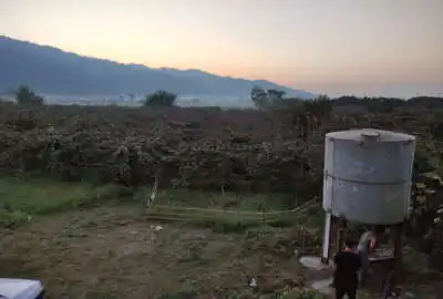 فروش باغ کیوی و خانه باغ روستای قاسم آباد سفلی ۶۷۰۱ متر