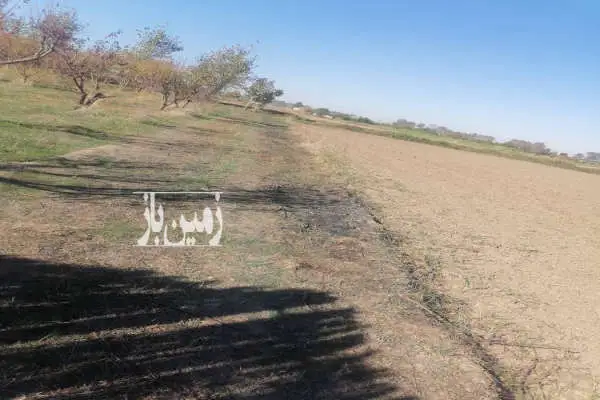 زمین و باغ آلو شابلون روستای دودانگه ۳۰۰ متر - تصویر 2