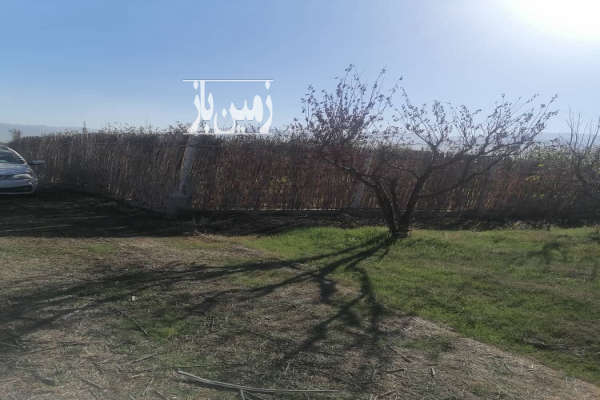 زمین و باغ آلو شابلون روستای دودانگه ۳۰۰ متر-4