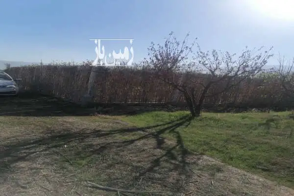 زمین و باغ آلو شابلون روستای دودانگه ۳۰۰ متر - تصویر 4