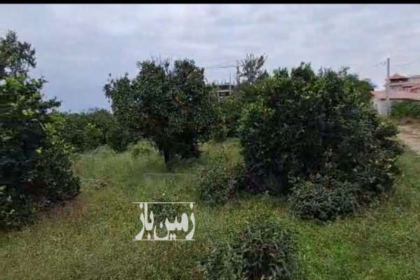 زمین در بهترین نقطه شهر کتالم ۳۶۶ متر-1