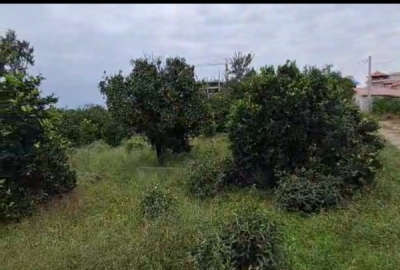 زمین در بهترین نقطه شهر کتالم ۳۶۶ متر