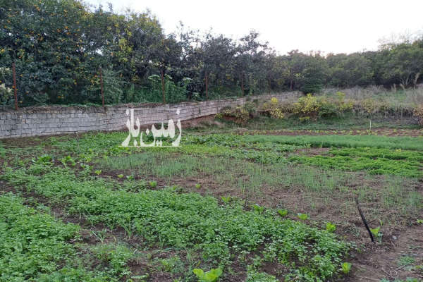 زمین ۱۵۰متر درشهر هولار ولیعصر-2