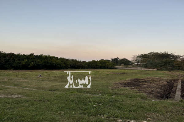 زمین ۹۰۵ متر با ویو جنگل جاده ساری نکا-2