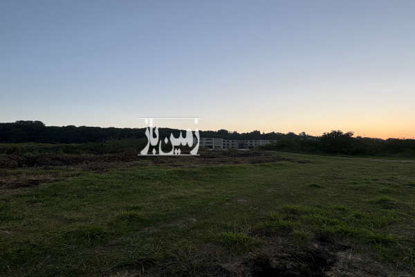 زمین ۹۰۵ متر با ویو جنگل جاده ساری نکا-3