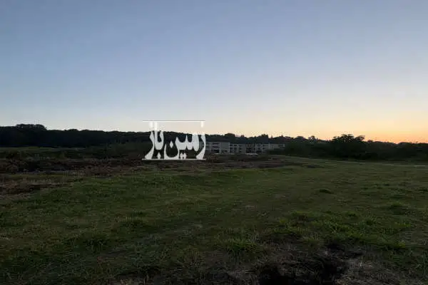 زمین ۹۰۵ متر با ویو جنگل جاده ساری نکا - تصویر 3