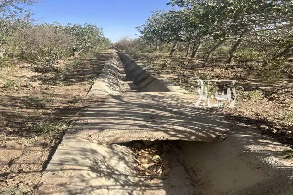 باغ پسته ۳۶۰۰ متر روستای نعیم اباد با درختان ۲۵ساله - تصویر 2