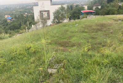 زمین با ویوی دریا و کوهستان در تنکابن ۱۱۸۹ متر