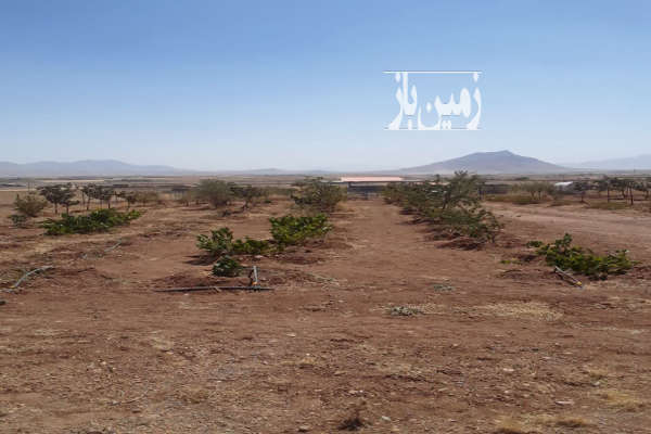 باغ ۳ ساله فنس کشی داران روستای حصور ۳۰۰۰ متر-3